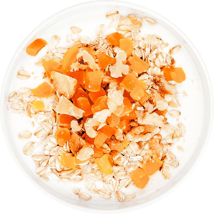 Joghurt mit Haferflocken, getrockneten Aprikosen und Walnüssen 