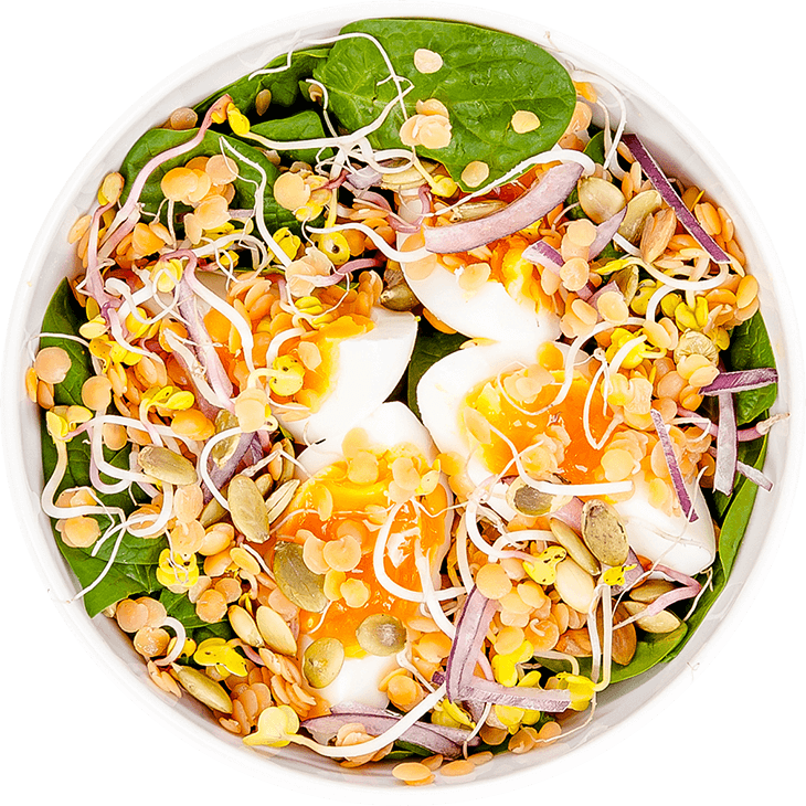 Yumurtalı ve mercimekli salata