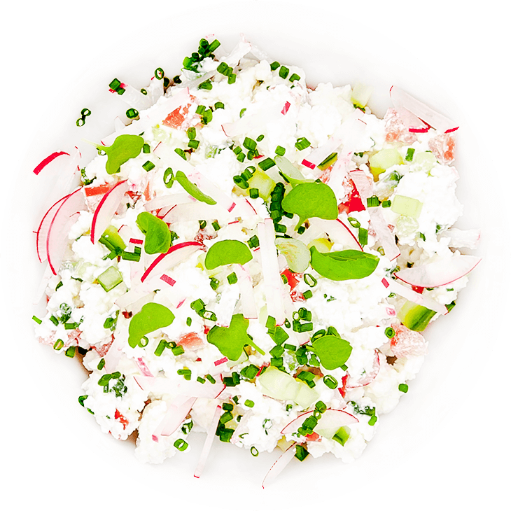 Cottage white cheese with tomato, cucumber, radish and chives (low fat)