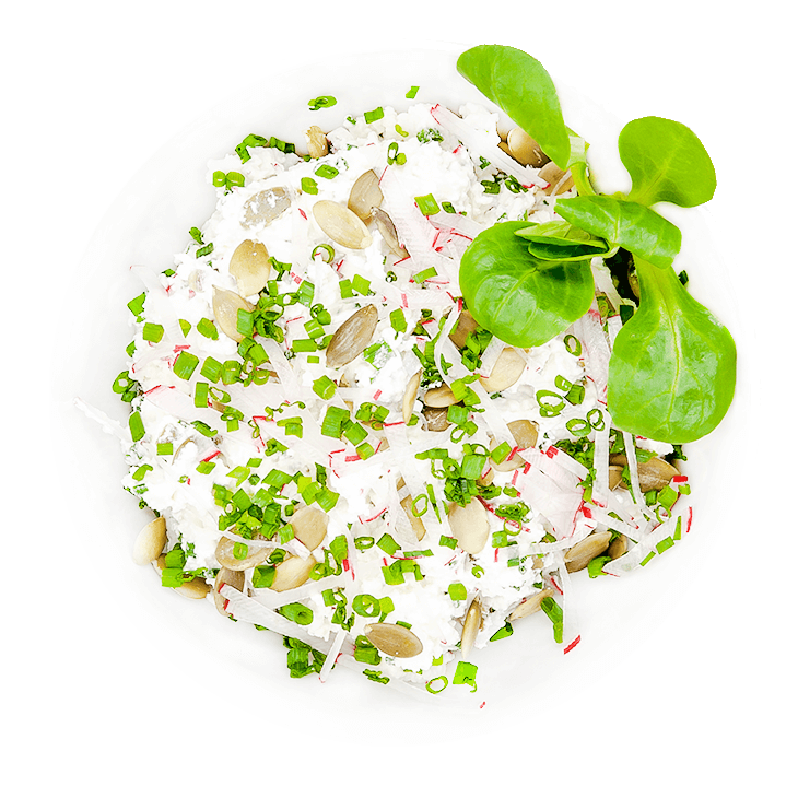 Cottage white cheese with radish and chives