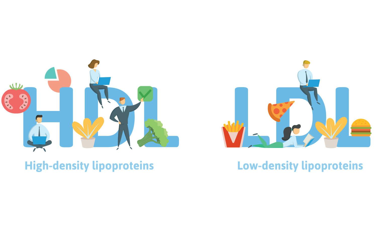 cholesterol