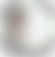 gorog_zita_phone_en